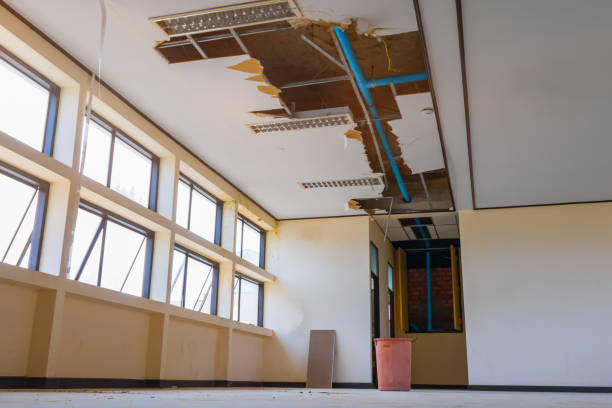 Best Flood restoration services  in Wautoma, WI