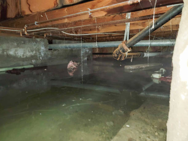 Best Water damage restoration mold remediation  in Wautoma, WI