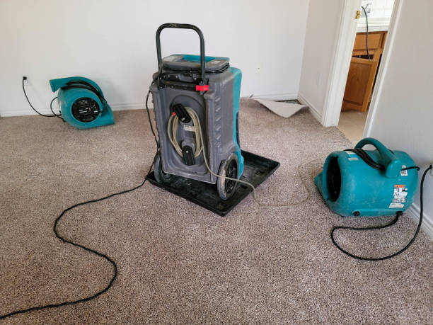 Best 24-hour water damage restoration  in Wautoma, WI