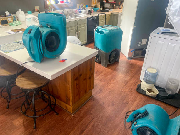 Best Ceiling water damage repair  in Wautoma, WI