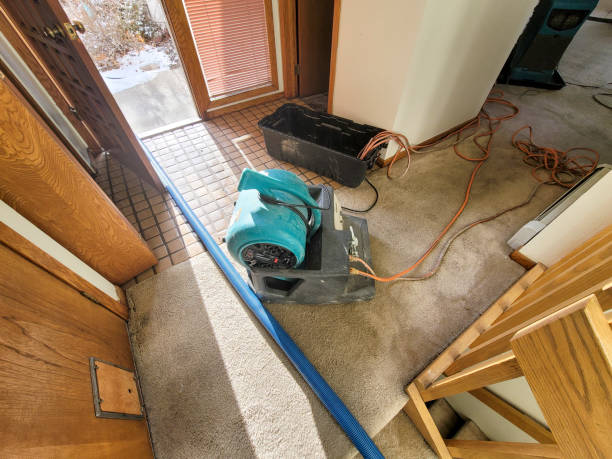Best Water damage cleanup near me  in Wautoma, WI