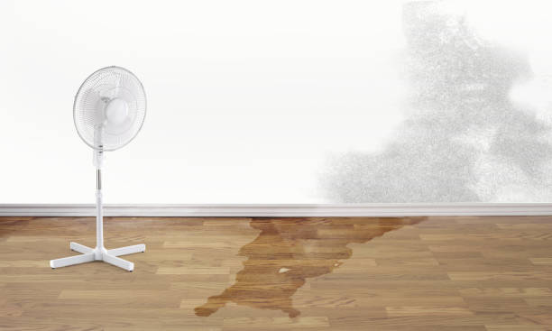 Best Flooded house restoration  in Wautoma, WI