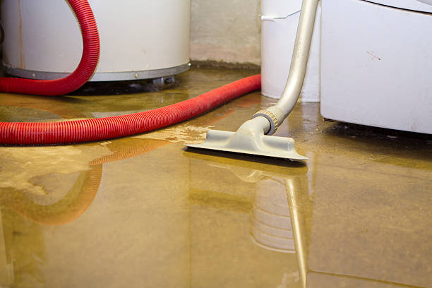 Best Water damage contractors near me  in Wautoma, WI