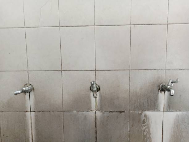 Best Emergency water damage restoration  in Wautoma, WI
