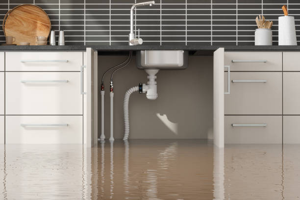 Best Water damage contractors near me  in Wautoma, WI