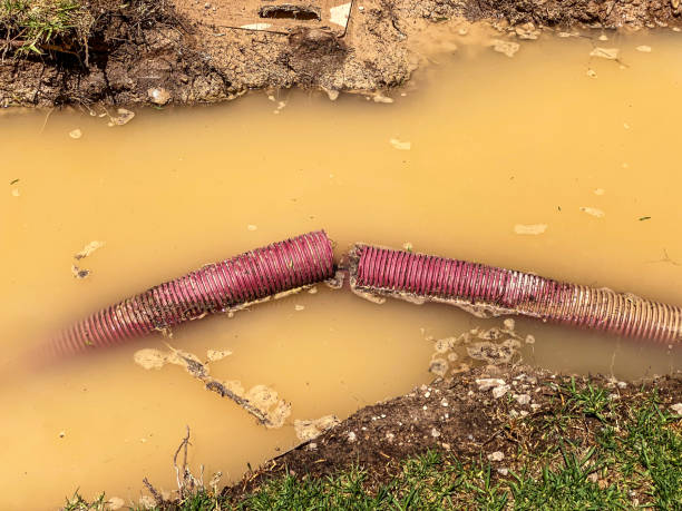 Best Water damage repair service  in Wautoma, WI