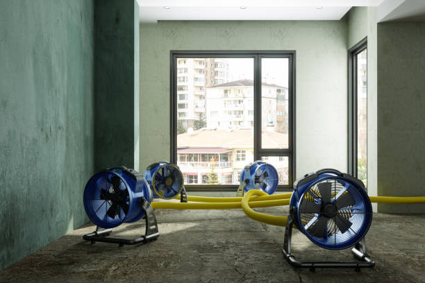 Best Basement water damage restoration  in Wautoma, WI